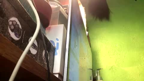 Crystal online show from 11/13/25, 02:49