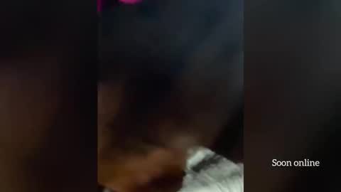 Lilly and Bryson online show from 12/03/25, 03:58