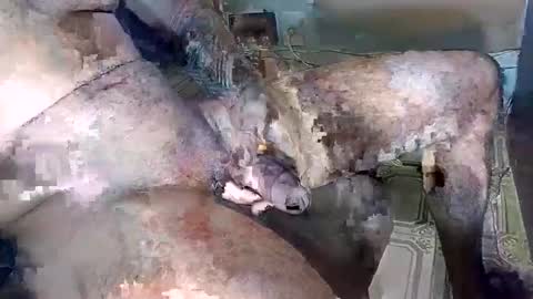 blackedbigdick online show from 10/18/25, 07:03