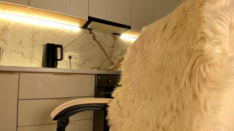 Karina online show from 01/20/25, 07:36