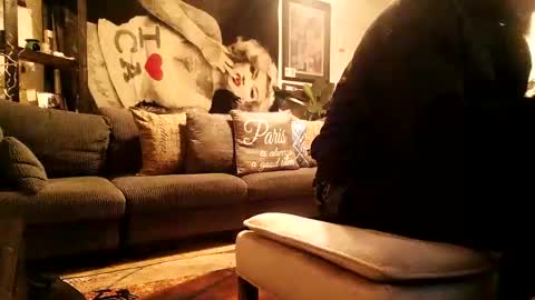 Snapshot of blackriches96 chatting on 02/17/26, 03:58 blackriches96 online show from 02/17/26, 03:58