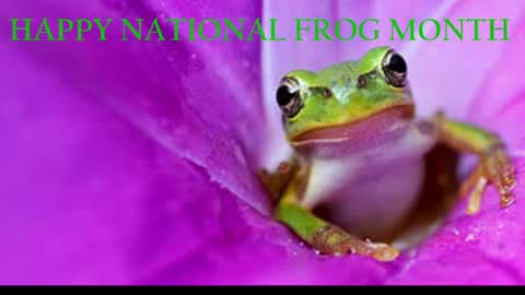 Queen Siren online show from 04/01/26, 08:26