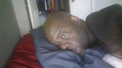 blackteddybear online show from 01/19/26, 03:05