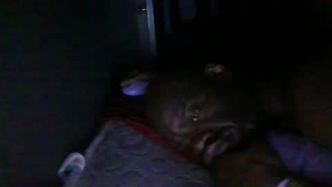 blackteddybear online show from 02/18/26, 03:24