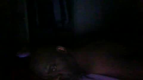 blackteddybear online show from 03/09/26, 12:58