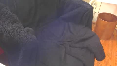 Aqua online show from 02/18/25, 06:47