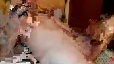 blagoy07 online show from 12/15/25, 11:09