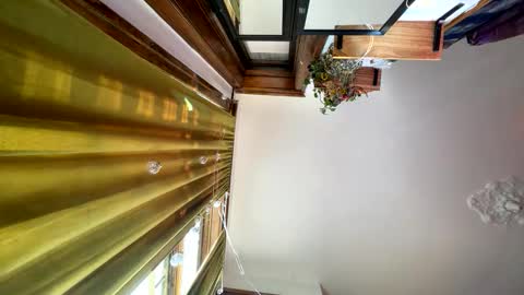 Blair online show from 11/16/25, 05:18