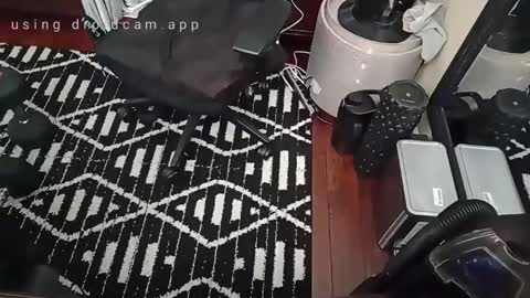 Blackjag00 online show from 02/16/25, 07:49