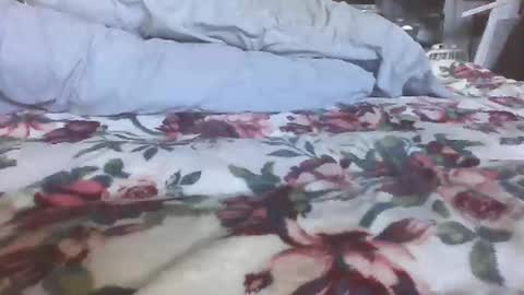 Snapshot of blame1269 chatting on 10/27/25, 07:07 blame1269 online show from 10/27/25, 07:07