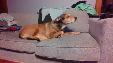 blaw_1321 online show from 03/08/25, 05:59