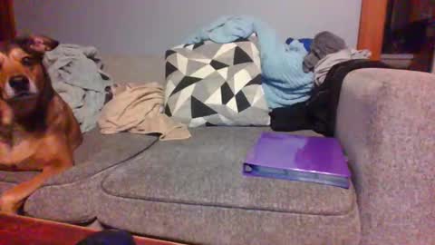 blaw_1321 online show from 09/19/25, 07:43