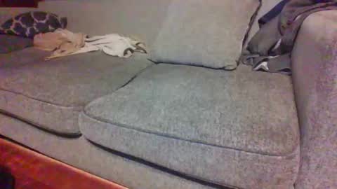 blaw_1321 online show from 04/15/26, 07:37