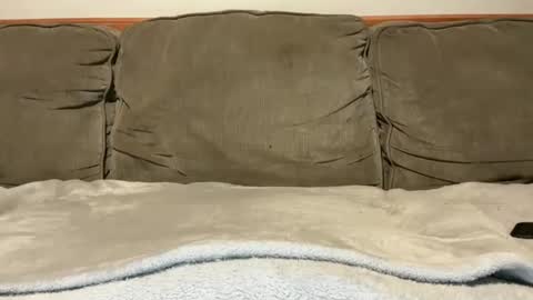 Snapshot of blondiedicks1 chatting on 09/16/25, 01:12 blondiedicks1 online show from 09/16/25, 01:12