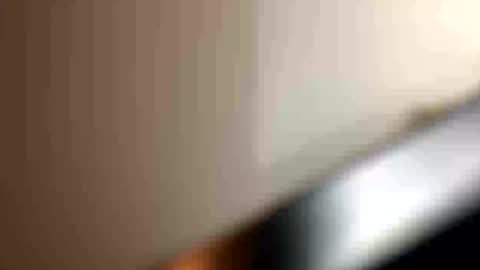 blue_cum_bunny123 online show from 07/16/26, 04:07