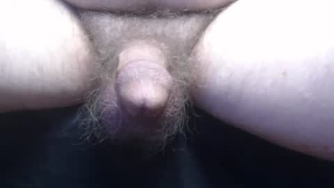 bluebee420 online show from 11/13/25, 10:36