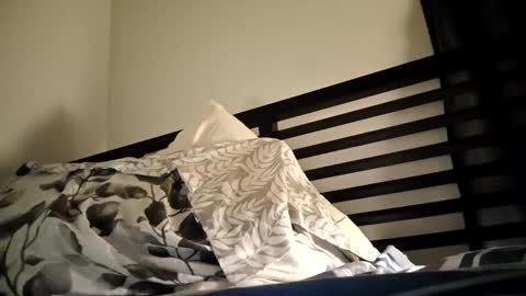 Snapshot of blueskyi0 chatting on 12/29/24, 11:40 blueskyi0 online show from 12/29/24, 11:40