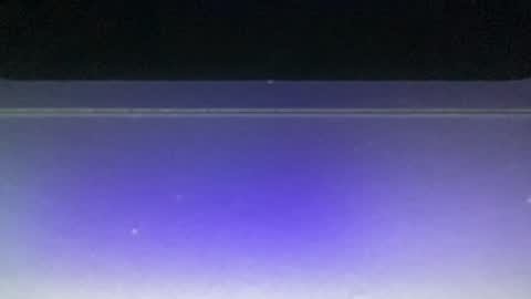 Snapshot of bluuuuuuub chatting on 12/29/24, 11:08 bluuuuuuub online show from 12/29/24, 11:08