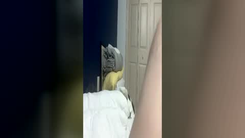 bmcluving online show from 06/14/26, 04:47
