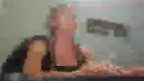 MamaMorgan online show from 07/27/26, 06:59