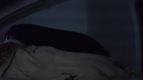 bo22222222 online show from 03/10/26, 10:48