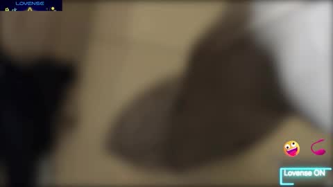 Snapshot of bob_pettersonn chatting on 12/18/25, 04:46 Bob INDEPENDENT MODEL online show from 12/18/25, 04:46