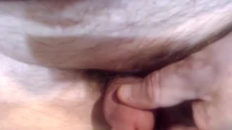 bobswan online show from 12/26/24, 05:19