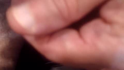 bobswan online show from 09/09/25, 09:58