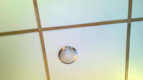 bodacioustits online show from 11/02/25, 07:22