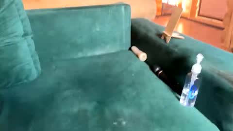 Nail and Olivia online show from 10/08/25, 10:35