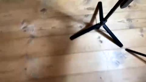 Nail and Olivia online show from 12/04/25, 10:57