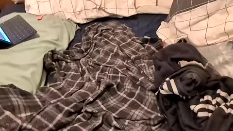 Snapshot of boiwithpussy chatting on 02/16/25, 01:36 boiwithpussy online show from 02/16/25, 01:36