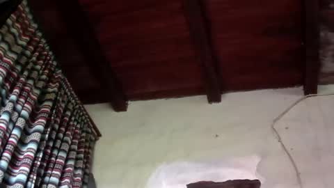 bokeronconganas online show from 06/03/26, 02:33