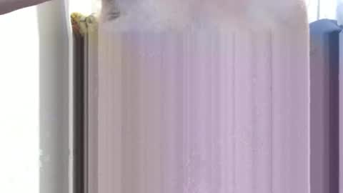 Snapshot of bolbil1 chatting on 12/15/24, 11:34 bolbil1 online show from 12/15/24, 11:34