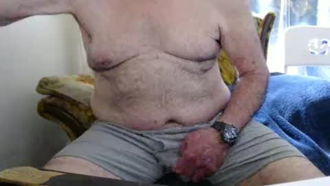 bolbil1 online show from 04/26/26, 03:42