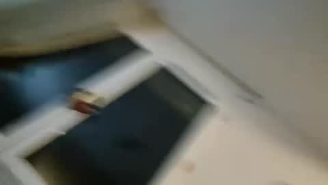 bomale89 online show from 12/22/24, 11:09