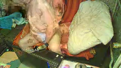 Snapshot of bomber59potsdam chatting on 01/06/25, 09:32 Bomber59potsdam online show from 01/06/25, 09:32