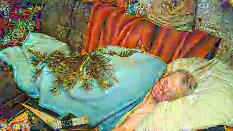 Snapshot of bomber59potsdam chatting on 03/01/25, 09:37 Bomber59potsdam online show from 03/01/25, 09:37