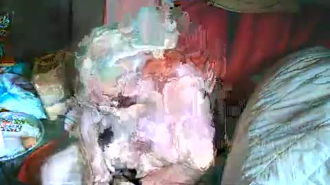 Snapshot of bomber59potsdam chatting on 03/02/25, 10:35 Bomber59potsdam online show from 03/02/25, 10:35