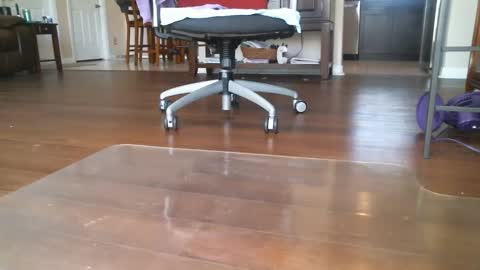 FRECKLES online show from 03/06/25, 06:26