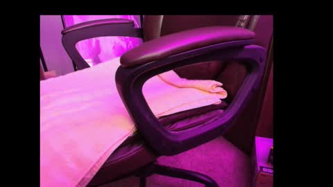 Grizz online show from 03/10/26, 03:11