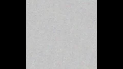 bonnie online show from 01/24/25, 11:37