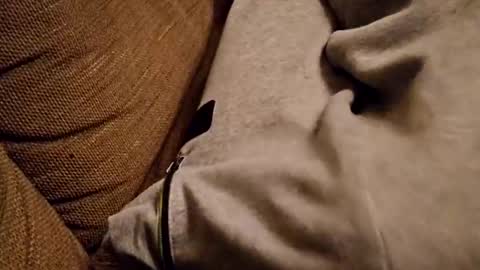 Snapshot of bonny8723 chatting on 02/05/25, 07:20 bonny8723 online show from 02/05/25, 07:20