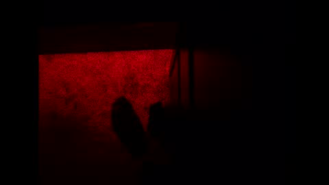 Snapshot of bonny8723 chatting on 11/03/25, 10:21 bonny8723 online show from 11/03/25, 10:21