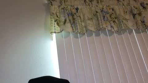 sissy slut boobi online show from 04/21/26, 10:01