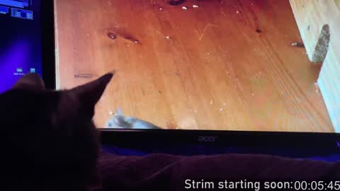 Booker Baxton online show from 02/02/25, 04:05