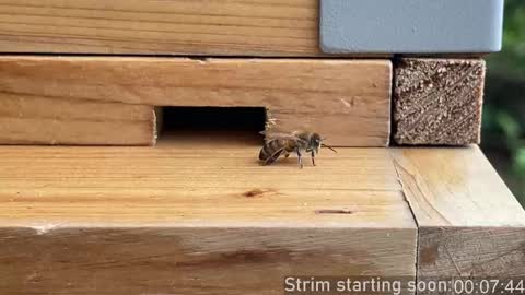 Booker Baxton online show from 10/02/25, 03:02