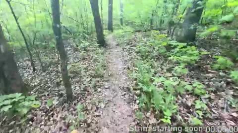 Booker Baxton online show from 11/05/25, 04:01