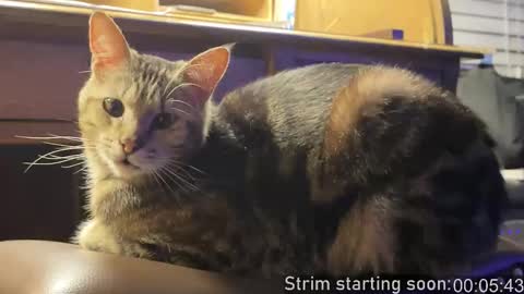 Booker Baxton online show from 02/05/26, 04:06