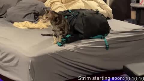 Booker Baxton online show from 02/25/26, 04:00